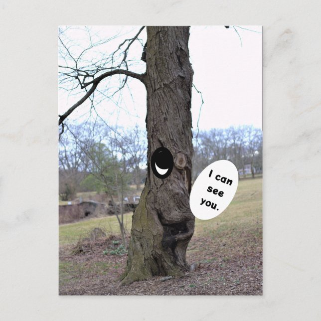 Funny Tree Photo Postcard  (Front)