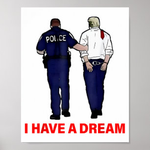 Funny Trump Lice Saying Quote Men Women Poster