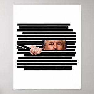 Funny Trump Peeking Through Redactions Meme Politi Poster