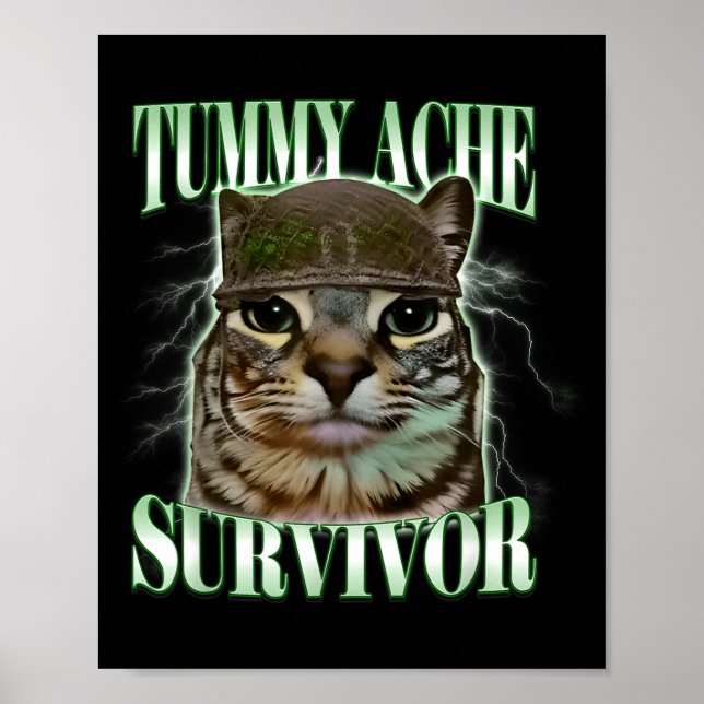 Funny Tummy Ache Survivor Cat Meme Poster (Front)