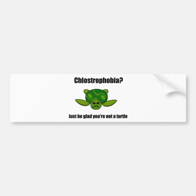 Funny turtle bumper sticker (Front)