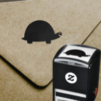 Funny Turtle