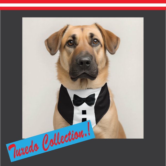 Funny Tuxedo 🎩 Black Tie Formal Luggage Tag (Creator Uploaded)