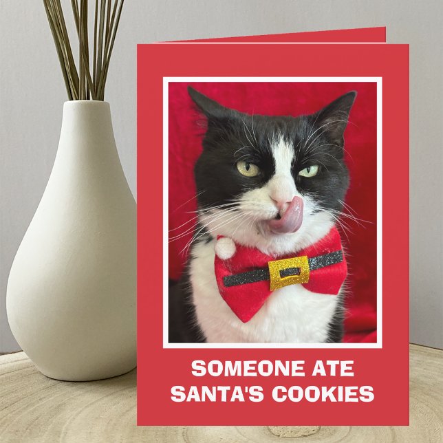 Funny Tuxedo Cat Christmas Card (Creator Uploaded)