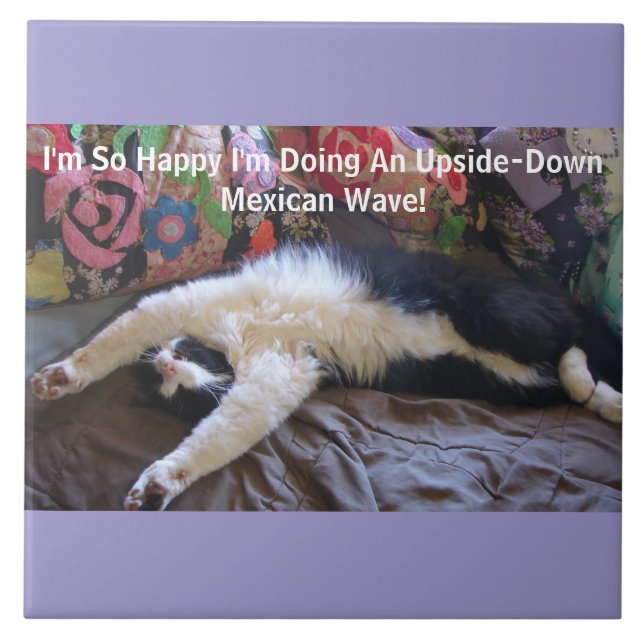 Funny Tuxedo Cat Cute doing a Mexican Wave Magnet Ceramic Tile (Front)