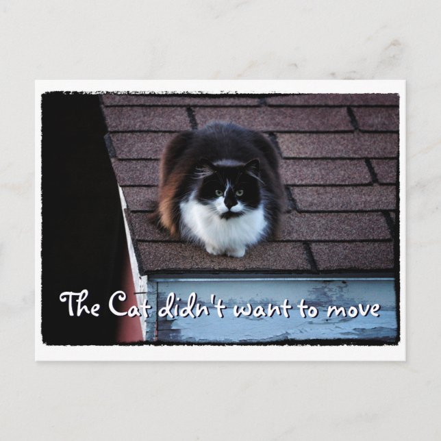 Funny Tuxedo Cat on Roof Moving Announcement Postcard (Front)