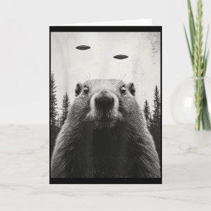 Funny Ufo Alien Abduct Groundhog Cute Woodchuck Gr Card