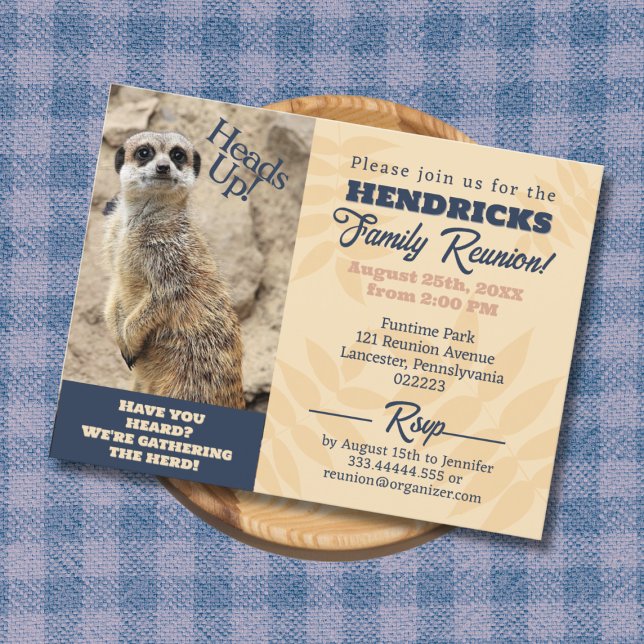 Funny, unique Meerkat Family Reunion Save the Date Postcard (Funny Family Reunion Invitation with Meerkat)