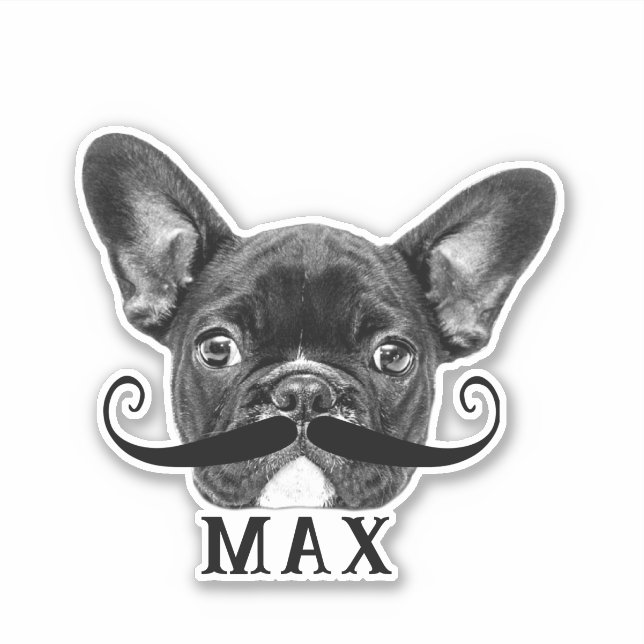 Funny Upload Pet Face Photo & Name with Moustache (Front)