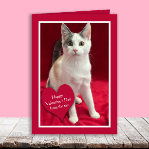 Funny Valentine Card from the Cat