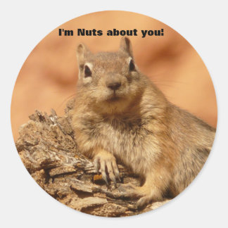 Funny Valentine Day Squirrel Classic Round Sticker