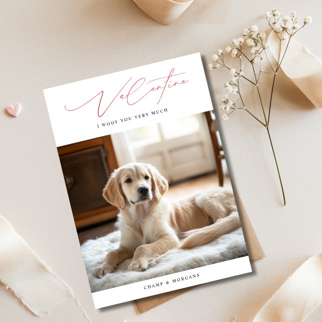 Funny Valentine I Woof You Very Much Dog Photo Holiday Card (Creator Uploaded)