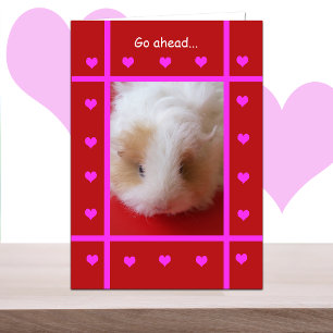 Funny Valentine -- Piggish Holiday Card
