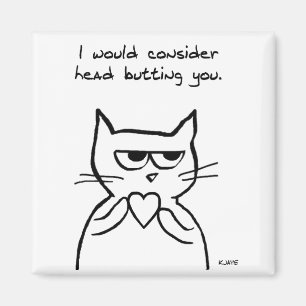 Funny Valentine - The Cat Might Possibly Like You Magnet