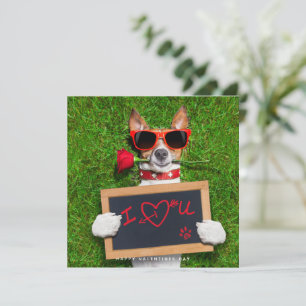 Funny Valentines Day Card - Jack Russel Card