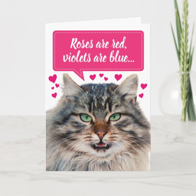 Funny Valentine's Day Maine Coon Cat Customisable Card (Front)