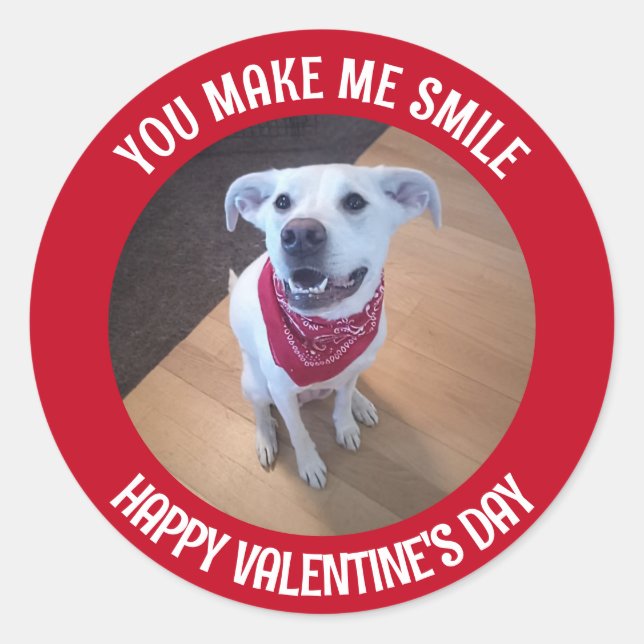 Funny Valentine's Day You Make Me Smile Dog Classic Round Sticker (Front)