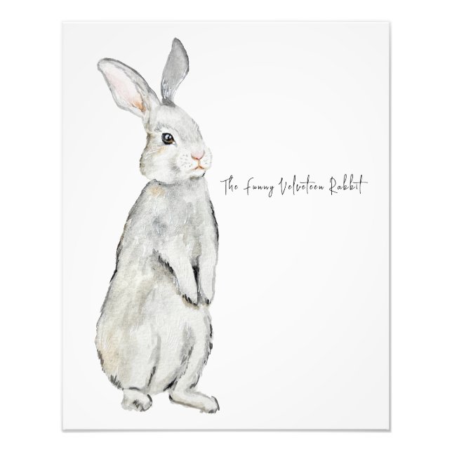 Funny velvet rabbit photo print (Front)