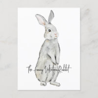 Funny velvet rabbit