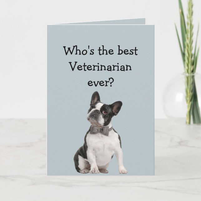 Funny Veterinarian Thank You Wishes Boston Terrier Card (Front)