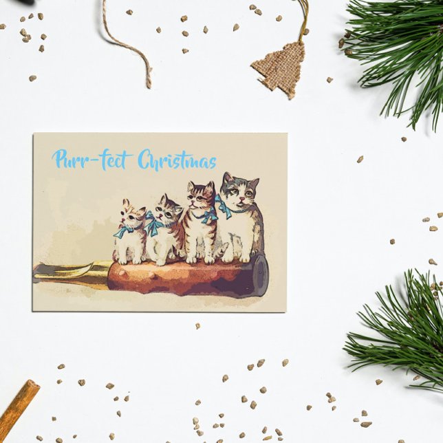 Funny Victorian Christmas Cats Postcard (Creator Uploaded)