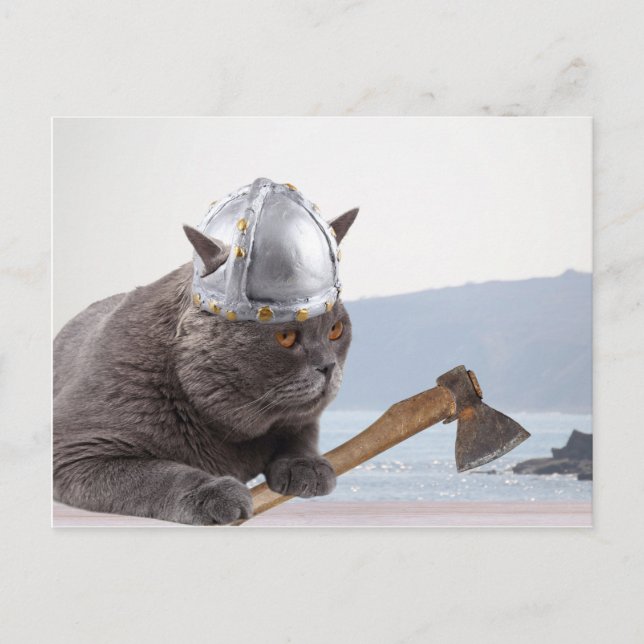 Funny viking cat postcard (Front)