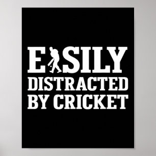 Funny Vintage Cricket Player 1 Poster