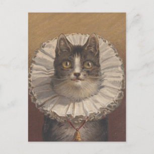 Funny Vintage Edwardian Cat Postcard