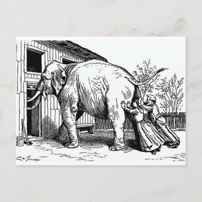 Funny Vintage - Hopeless, Won't Fit Elephant Postcard (Front)