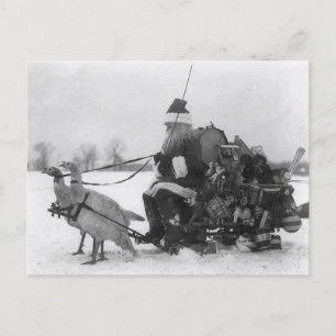 Funny Vintage Santa Turkey Sleigh Postcard