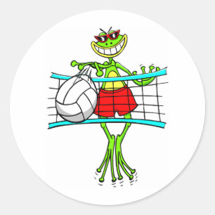 Funny Volleyball Classic Round Sticker