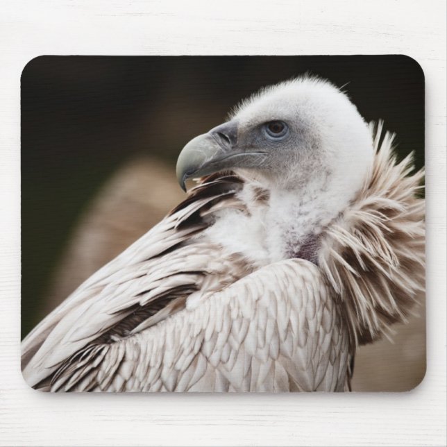 Funny Vulture Bird Mousepad (Front)