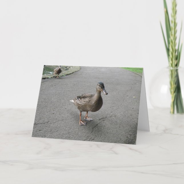 Funny Waddling Duck Birthday Card (Front)