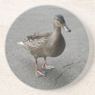 Funny Waddling Duck Coasters