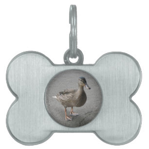 Funny Waddling Duck Pet Tag