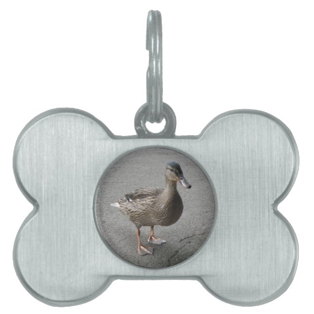 Funny Waddling Duck Pet Tag (Front)