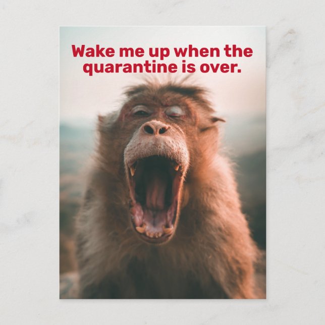 Funny Wake Me Up When The Quarantine Is Over Postcard (Front)