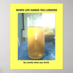 Funny Warning Veiled Bathroom Humour Poster