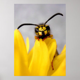 Funny Wasp Posters
