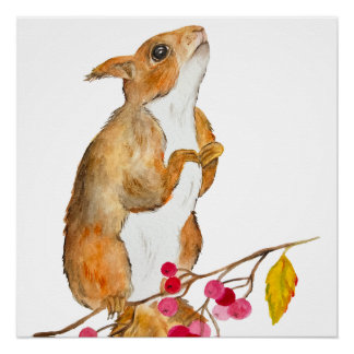 Funny watercolor squirrel on a branch with berries poster