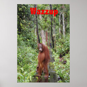 Funny Wazzup with Krista Orangutan Poster