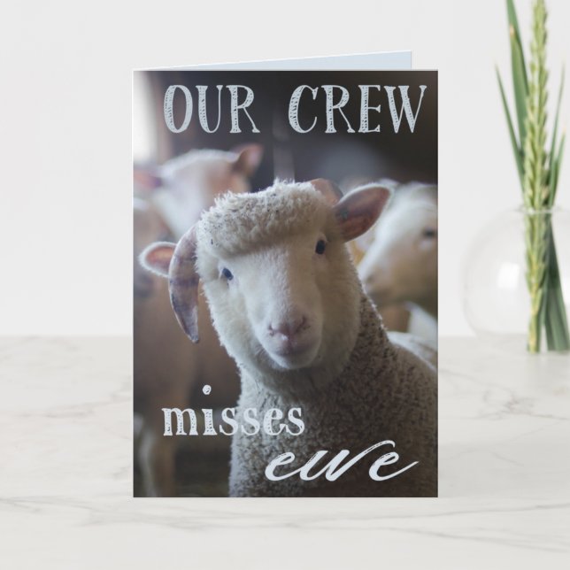 Funny We Miss You Card Photo of Sheep Farm Animals (Front)