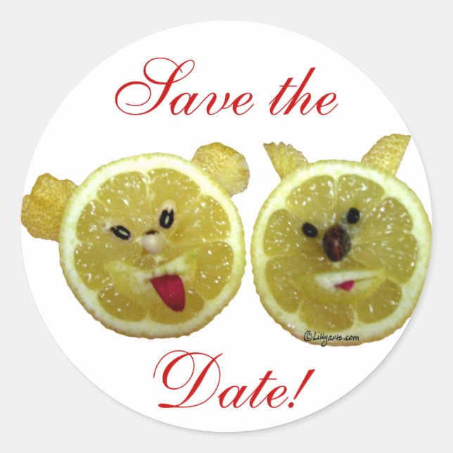 Funny Wedding Envelope Seal Stickers (Front)