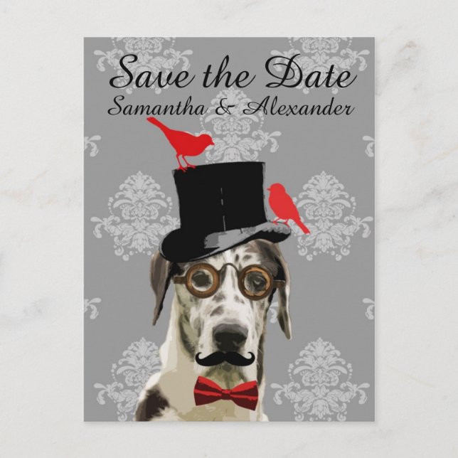 Funny wedding groom dog  save the date announcement postcard (Front)