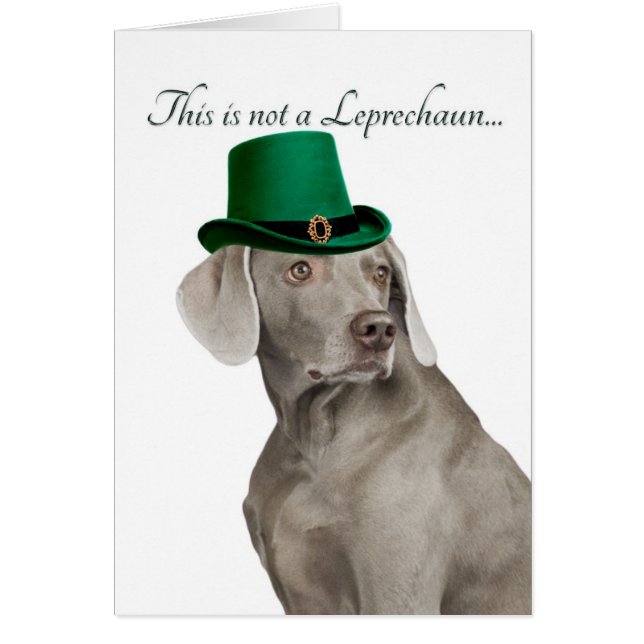 Funny Weimaraner Leprechaun Card (Front)
