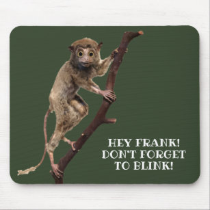 Funny Weird Taxidermy Monkey Lemur Primate Mouse Pad