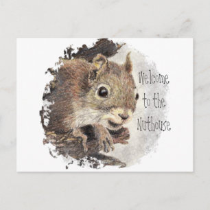 Funny, Welcome to the Nuthouse, Squirrel, Animal Postcard