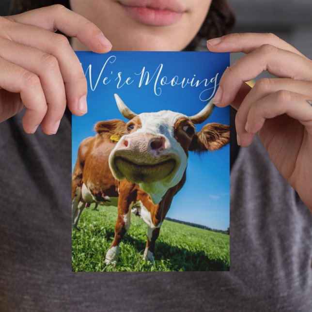Funny We're Mooving Moving Announcement Cow Postcard (Creator Uploaded)