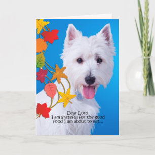 Funny Westie Thanksgiving Card
