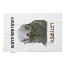Funny Wet Seal Pup